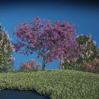 Tiny_Tree.png