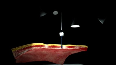 Here is an example of the scene rendered via the Maya Plug-in. The anatomy is a decimated mesh (13 mil tri's with texture - No displacement).