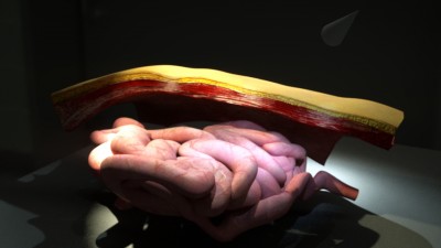 This is a wide shot of my scene and the only thing I can seem to render.
