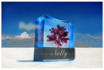 Netty 05 copy.png