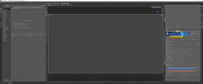 Screen Capture