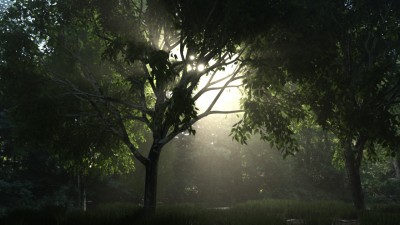 misty.jpg