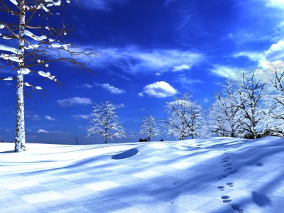 snow in action