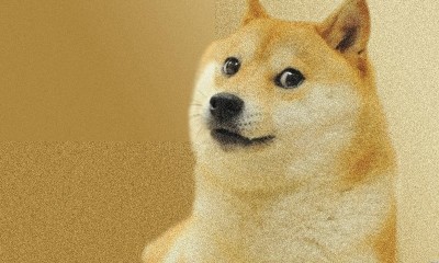 doge.jpg