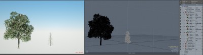 ScreenshotTreeInvisibleLeaves.jpg