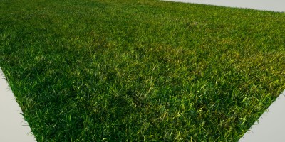 grass_juha_b.jpg