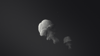 Volume Rendering. TurbulenceFD