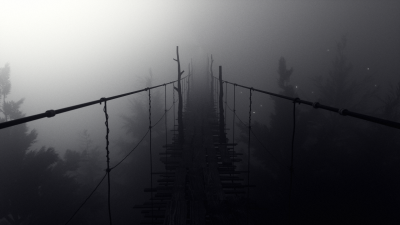Environment Fog.