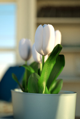 Tulips_low res.jpg