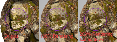Comparison