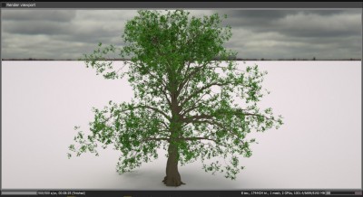 tree_test_PF.jpg