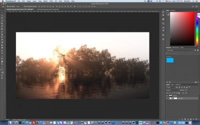 beauty + white layer