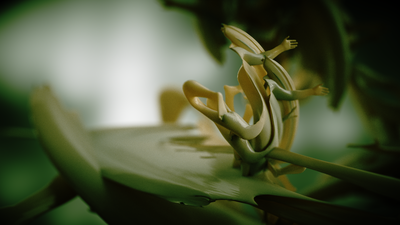 HD 001 01h 06min 07s.png
