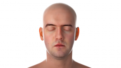 face.png