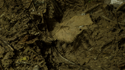 004.png