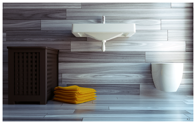 Kamil Jurgowiak - Bathroom B 2010.png