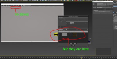 slaves bug.jpg