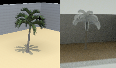 This photo compares about leaf texture of a palm...