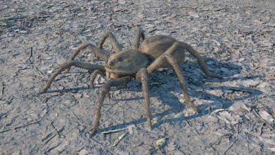 spider-img-on.png