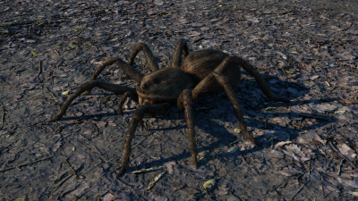 spider5.png