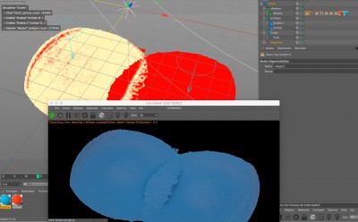 rf2.5+c4d19mac+octane.jpg