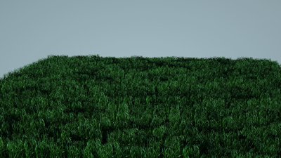 GrassTest_002.jpg