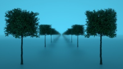 Trees_phase_1.jpg