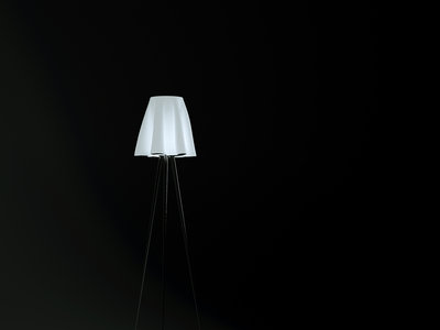 lampshade_tes2t.jpg