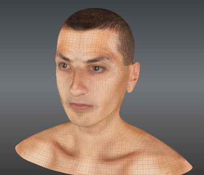 The Mudbox mesh.