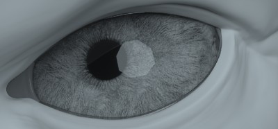 note the slim black mesh going around the eye with the tiny specular
