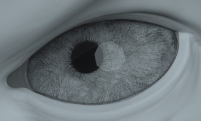 Rendered with path tracing