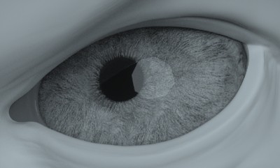 Rendered without tear line
