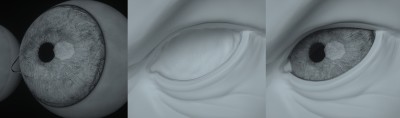 tearline_comparison.jpg