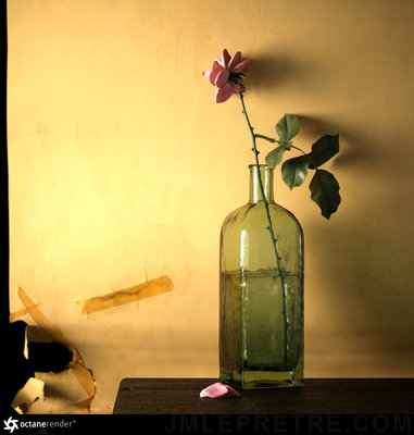 rosa8b_4000_2.56.jpg