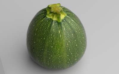 Zucchini_Test_2.png