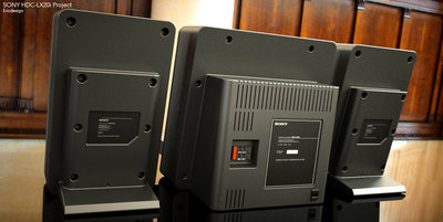 sony HDC_LX20i_project2_ericdesign.jpg