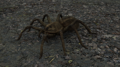 16.2.4-test.png
