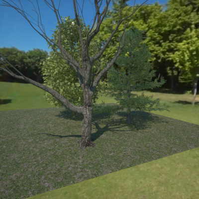 50_tree06_slowGeometry.png