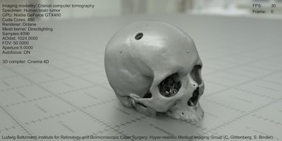 Skull1.jpg