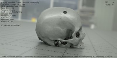 Skull2.jpg