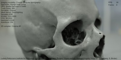 Skull3.jpg