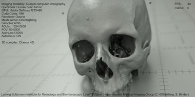 Skull5.jpg