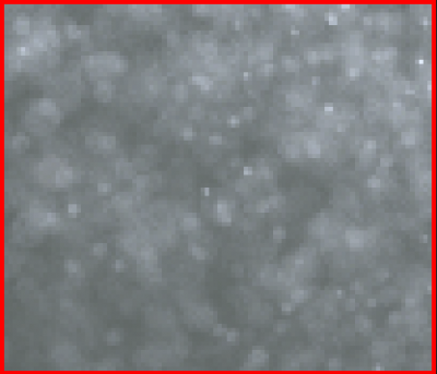 No Adaptive Sampling