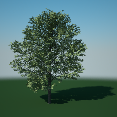 tree_old.png