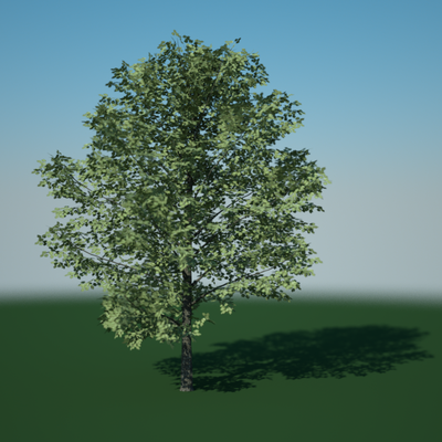 tree_new.png