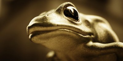 frosch_pathtracing2.jpg