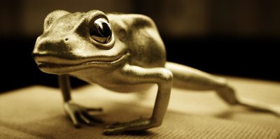 frosch_pathtracing1.jpg