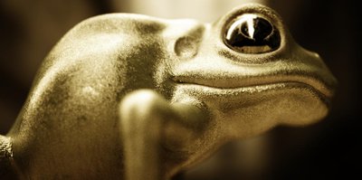 frosch_pathtracing3.jpg