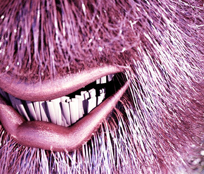 closeup.jpg