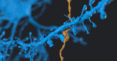 synapse render screenshot from preview sterling.png